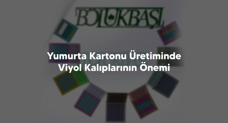 Yumurta Kartonu Uretiminde Viyol Kaliplarinin Onemi - Yumurta Viyol Kalıpları, Viyol Makinaları