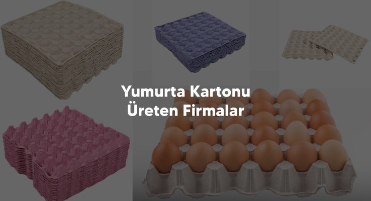 Yumurta Kartonu Ureten Firmalar - Yumurta Viyol Kalıpları, Viyol Makinaları